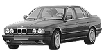 BMW E34 P1489 Fault Code